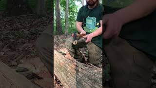 GBA Wildlife Hatchet bushcraft woodcarving camping [upl. by Lingwood802]