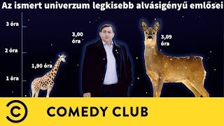 Mészáros Lőrinc vs Mark Zuckerberg  Dumaaktuál  Comedy Club [upl. by Iatnohs]