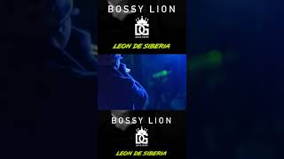 SUSCTIBETE🔔 flow Music BossyLion PanamaArtist🇵🇦 [upl. by Sherrod]