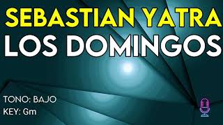 Sebastian Yatra  Los Domingos  Karaoke Instrumental  Bajo [upl. by Loseff]