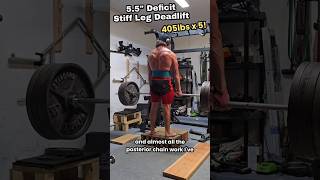 MASSIVE DEFICIT Stiff Leg Deadlift 405lbs x 5  170 [upl. by Henrieta]