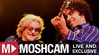 Daryl Hall amp John Oates  I Cant Go For That  Live in Sydney  Moshcam [upl. by Aidan]