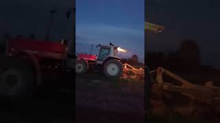 Niszczenie chwastówsamosiewów  Uprawianie Massey Ferguson 3080 z Agregatem Orlik 26 shorts [upl. by Aryn]