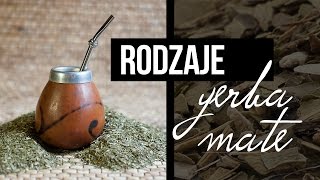 Rodzaje Yerba Mate Czajnikowypl [upl. by Welcy922]