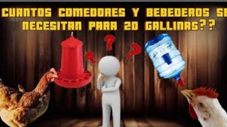 GUÍA PRÁCTICA Cantidad ideal de comederos y bebederos para 20 gallinas [upl. by Eerdna]