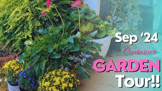 September 24 Container Garden Tour New Fall Containers gardentour [upl. by Becket622]