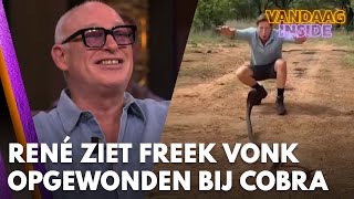 René ziet Freek Vonk opgewonden bij cobra Wat zou er gebeuren als hij een lekker wijf tegenkomt [upl. by Sacken]