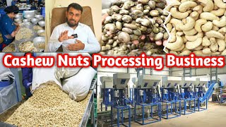 Cashew Nuts Processing Business Success Story [upl. by Gittle449]