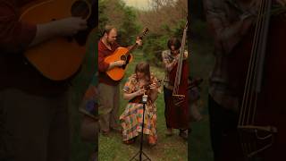 Our HouseCrosby Stills Nash and Young…full version will be available on May 3rd on our channel [upl. by Jolyn654]