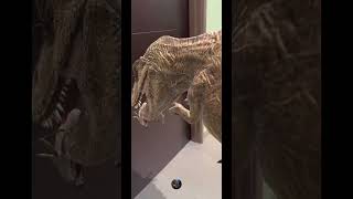 Rexy At The Door jurassicworldalive shorts [upl. by Durstin]