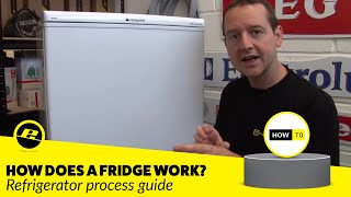 How Does a Fridge Work How is a Fridge Cooled amp More [upl. by Sul]