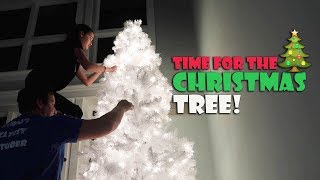 Time for the Christmas Tree 🎄 WK 3604  Bratayley [upl. by Chadwick]