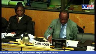 Day Two of the UN Committee Review on Torture  Cameroon [upl. by Genni]