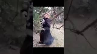 Je m’appelle Josiane Pichet  professeur de danse de forêt [upl. by Houlberg500]