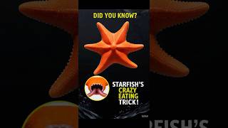 Did You Know Starfishs Crazy Eating Trick [upl. by Stronski]