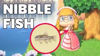 How to catch Nibble Fish in Animal Crossing New Horizons [upl. by Shear396]