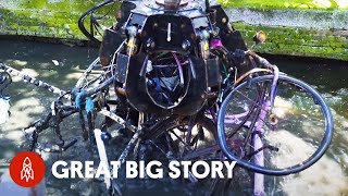 Fishing for Bikes in the Amsterdam Canals [upl. by Shepley]