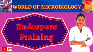 Endospore Staining  Schaeffer Felton Technique Tamil  Differential Method  Topic 10 [upl. by Ennaer]