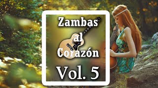 ZAMBAS AL CORAZON  Selecciones Vol 5 [upl. by Nnaassilem14]