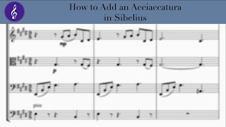 How to Add an Acciaccatura in Sibelius [upl. by Olotrab]