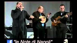 Te voglio bene assaje R Sacco  G Donizetti il trioquotle Note di Napoliquot [upl. by Olenolin]