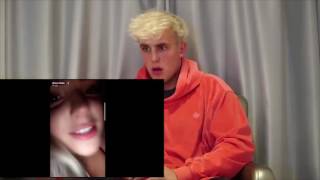 JAKE PAUL reacts to ALISSA VIOLET and Faze Banks SNAPCHAT STORIES JAKE PAUL CRIES [upl. by Arvind]