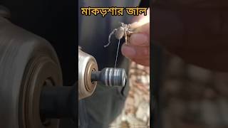 মাকড়শার জাল insects spider shorts [upl. by Hertzfeld235]