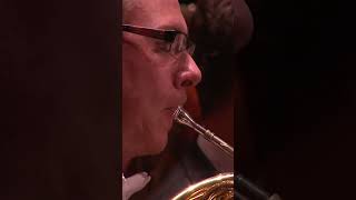 Symphonic Shorts Horn solo in Tchaikovskys Symphony No 5  II Andante cantabile  Mariss Jansons [upl. by Thaxter]