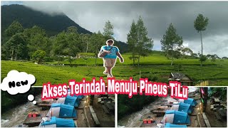 Ruteakses Jalan Pineus TiluRiung Gunung Dari JakartaLewat Sini Kebun Tehh Puncak Indahnya Lewat [upl. by Zednanreh]