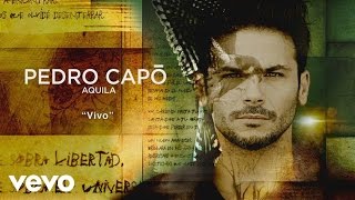 Pedro Capó  Vivo Cover Audio [upl. by Eilla]