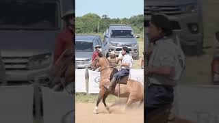 CREDENCIADORA DEL FRENO ORO 🇦🇷🐴 [upl. by Harper48]