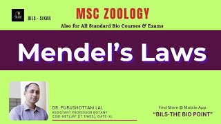 Mendels Laws of Inheritance  मेण्डल के वंशानुगति के नियम  BiLS Classes Sikar [upl. by Rame31]