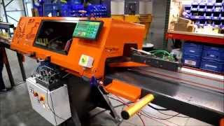 TigerSaw1000 Crayon Defect Marking amp Optimizing Crosscut Saw System [upl. by Hoppe]