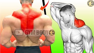 Build Bigger TRAPS With This Workout’s GYM BODY WORKOUT [upl. by Linkoski534]