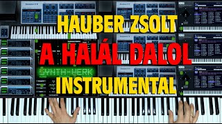 Hauber Zsolt  A halál dalol Instrumental hauberzsolt bonanzabanzai ahalaldalol [upl. by Neenej]