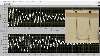 Coupled Oscillator [upl. by Sigfrid829]