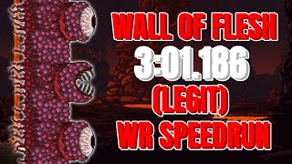 Terraria Wall of Flesh Speedrun in 301 [upl. by Aksehcnarf]