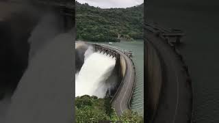 Welcome travel to victoria dam sri lanka Beautiful dam sri lanka pawanjayamal4704 🌿🌿🌿 [upl. by Hoi]