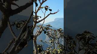 Admiring the dramatic landscape of the Three Rondavels in this region of southafrica [upl. by Anitrak507]