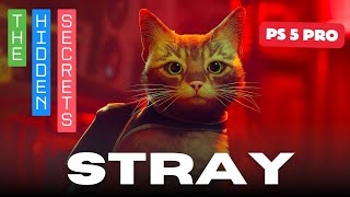 Exploring Stray on PS5 Pro  You Won’t Believe What We Found [upl. by Lledrac]