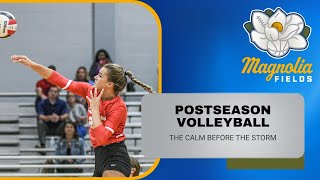 Postseason Volleyball The Calm Before the Storm [upl. by Robet]