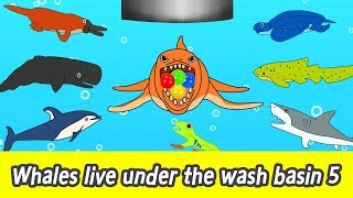 EN Whales live under the wash basin 5 kids animals animation whales adventureㅣCoCosToy [upl. by Angrist440]