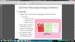 Psychology 306 Biopsychology Exam 2 Part 2 Chapter 5 [upl. by Bernadette]