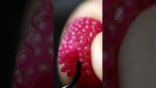 HARIBO Berries and Fish Hook MACRO  Closeup  satisfying closeup asmrvideo experiment asmr [upl. by Raymonds]