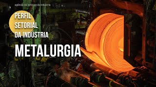 Conheça o setor de metalurgia  2024 [upl. by Gerri]