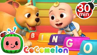 Bingo Was His NameO  MORE Dog Songs CoComelon Nursery Rhymes amp Animal Songs [upl. by Hanni250]