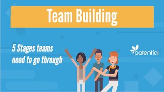 5 Stages of Team Building  What you should know when developing teams or groups [upl. by Naiviv701]