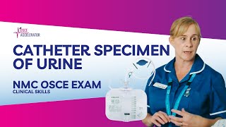 NMC OSCE  Catheter Specimen of Urine Clinical Skill  OSCE Guide [upl. by Mahseh174]