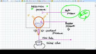 Principles of SUBSTRACTED CYSTOMETRY  UROGYNECOLOGY [upl. by Leay869]