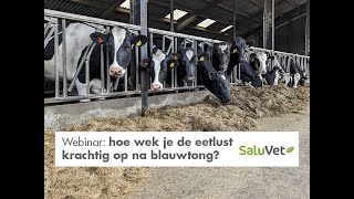 Hoe wek je krachtig de eetlust op na blauwtong [upl. by Adamsen]